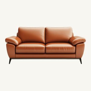 Contemporary Leather Sofa