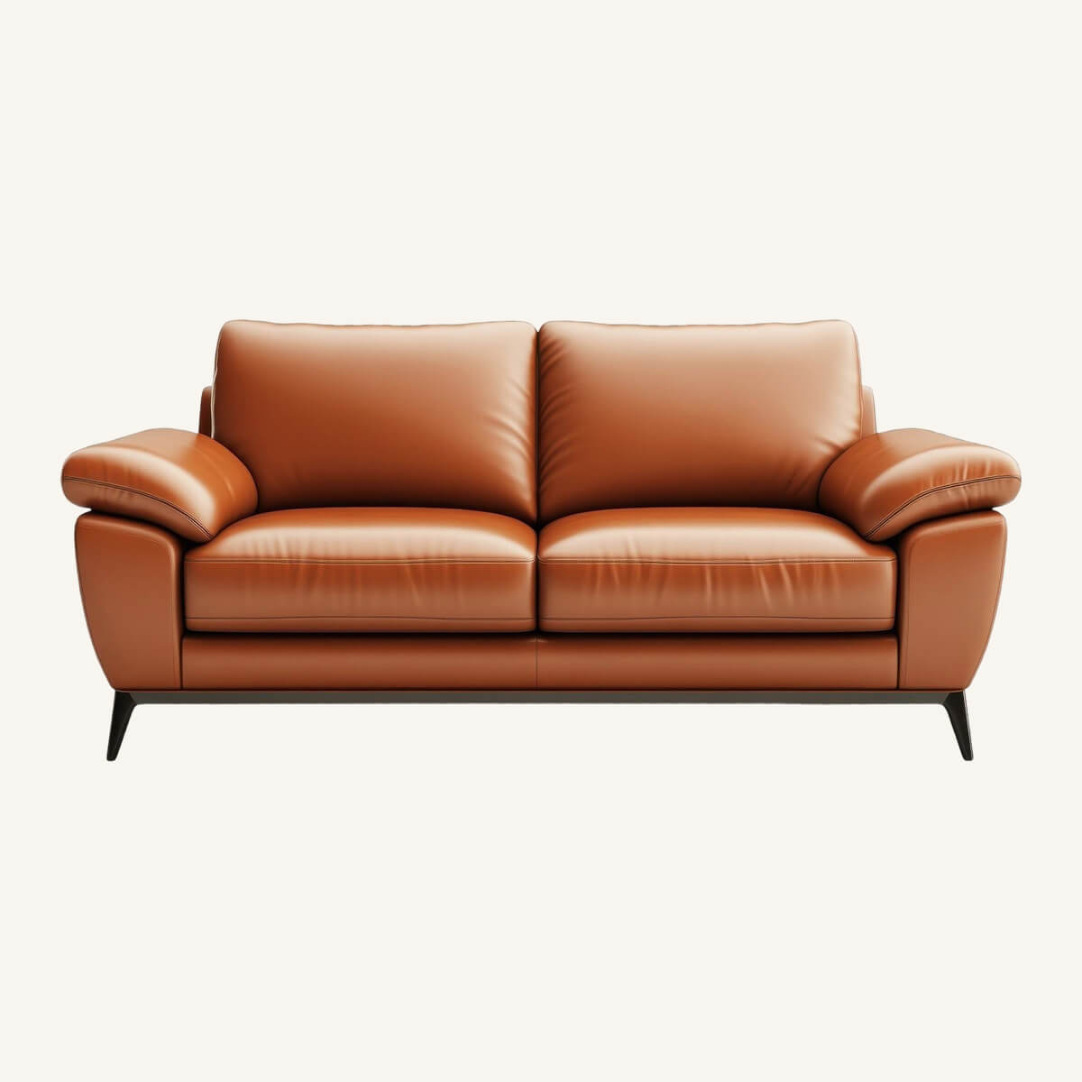Contemporary Leather Sofa